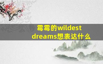 霉霉的wildest dreams想表达什么